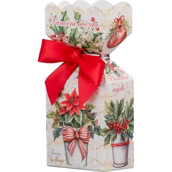 Vánoční dekorace Mýdlo 90g Vánoční hvězda v krabičce, červená, zelená