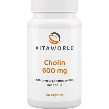 Fitness strava Vitaworld Choline 600 mg 60 kapslí