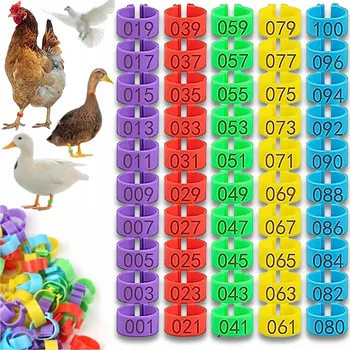Chov hospodářského zvířete Kroužky klipsy pro drůbež barevné s čísly 100 ks 16 mm