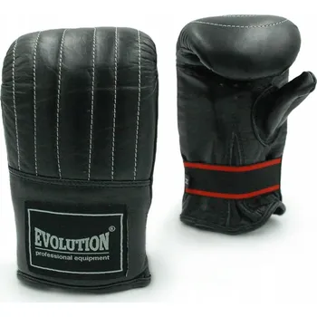 Moto rukavice Boxerské rukavice Evolution RP-110 4 oz