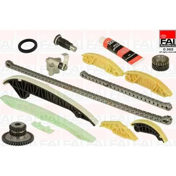 FAI AutoParts TCK223L Sada rozvodového řetězu (TCK223L)