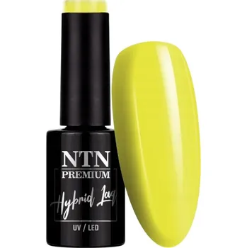 Lak na nehty Hybridní lak na nehty NTN 5g Delight Sorbet Collection Žlutý Č. 147
