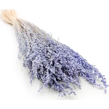 mech-mech.cz Sušená Třeslice (Briza minima) Malá - Levandulová