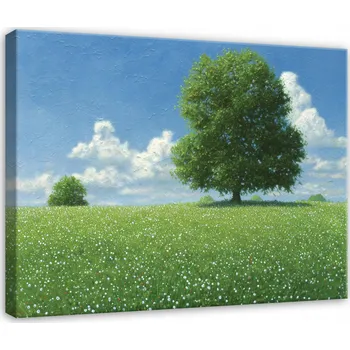 Obraz OBRAZ LOUKA STROMY PŘÍRODA DO LOŽNICE OBÝVÁKU KUCHYNĚ NA PLÁTNĚ 40x30