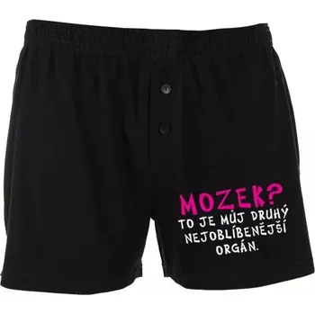 Pánské spodní prádlo Trenýrky - Mozek? - L melír
