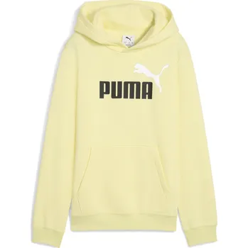 Chlapecké oblečení Dětská mikina PUMA ESS 2 COLOR NO 1 LOGO HOODIE FL B 68582235 GOLD MOON 116