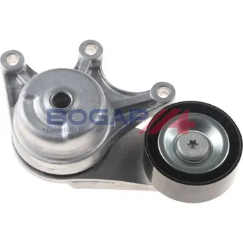 BOGAP B1317109 Napínák, žebrovaný klínový řemen (B1317109)