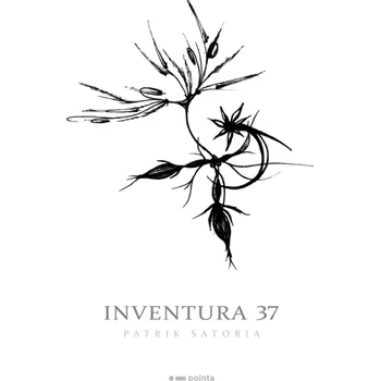 Poezie Inventura 37