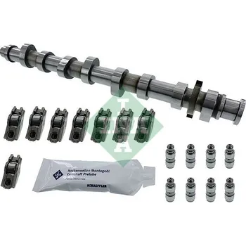 Rozvod motoru Schaeffler INA 428 0050 30 Sada vačkového hřídele (428005030)