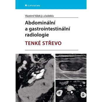 Abdominální a gastrointestinální radiologie