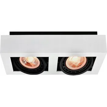 Stropní svítidlo LOID, IP20, 2* GU10, ES111, bílé