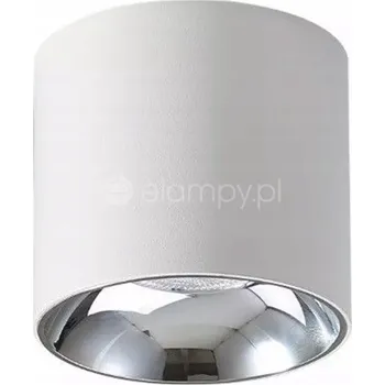 Stropní přisazené svítidlo Abigali 15 W LED bílé