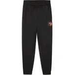 Dětské tepláky PUMA ACTIVE SPORTS GRAPHIC POLY PANTS B 52769301 PUMA BLACK 164