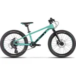 BEANY Blaster XC 20" 2025