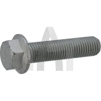 Šroub BPW 0250709500