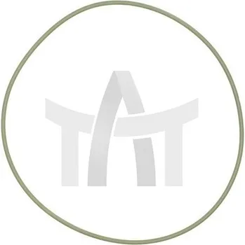 Automobilové těsnění Těsnicí kroužek REINZ 40-10105-00