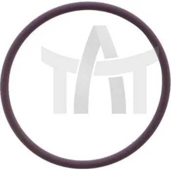 Palivový systém Těsnicí kroužek - vstřikovací čerpadlo DELPHI 7200-0070