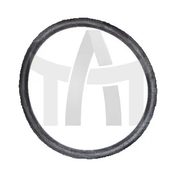 Olejové čerpadlo Těsnění - olejové čerpadlo EURORICA 95531009