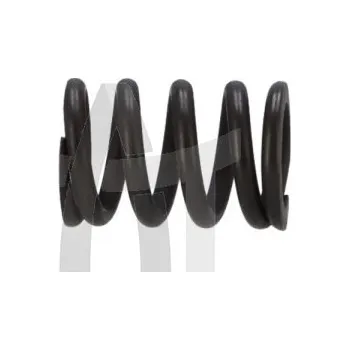 Auto-moto Pružina ZF 0732040986