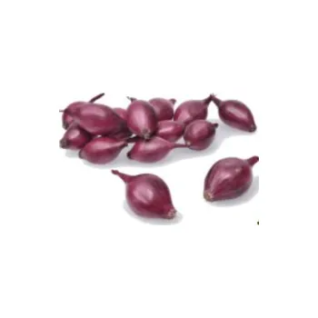 Semeno Maják cibule ozimá Akado červená 500 g