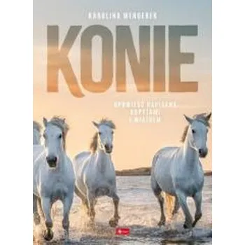 Konie - KAROLINA WENGEREK