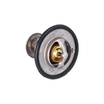 Chladič motoru KAMOKA 7710054 Termostat, chladivo (7710054)