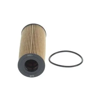 Filtr do auta BOSCH F 026 407 354 Olejový filtr (F026407354)