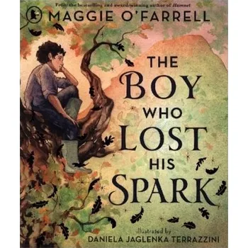 Cizojazyčná kniha The Boy Who Lost His Spark - O'Farrell, Maggie [EN] (2025, Taschenbuch, Walker Books)
