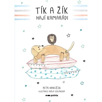 Tík a Žík, hají kamarádi (Petr Havlíček, 2020)