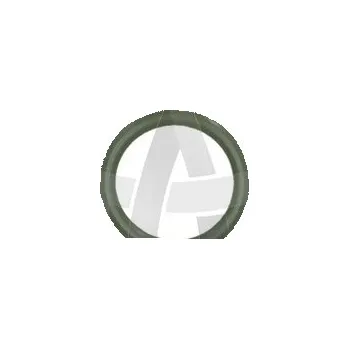 Automobilové těsnění Těsnicí kroužek REINZ 407617900