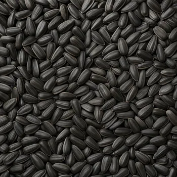 Krmivo pro ptáka Agrix Slunečnice černá 5 kg