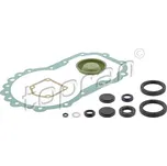 Sada těsnění, převodovka TOPRAN 111 408