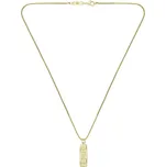 Lacoste Stylový pozlacený náhrdelník pro muže District 2040537 + 2 měsíce na vrácení zboží