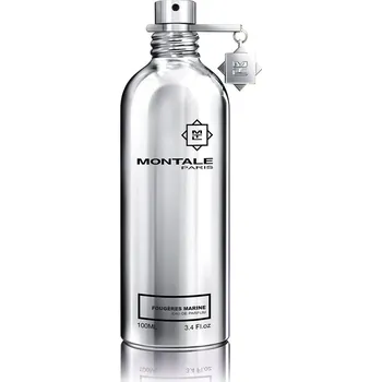 Unisex parfém Montale Paris Fougères Marine EDP 100 ml UNISEX