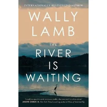 Cizojazyčná kniha River Is Waiting (Oprah´s Book Club)