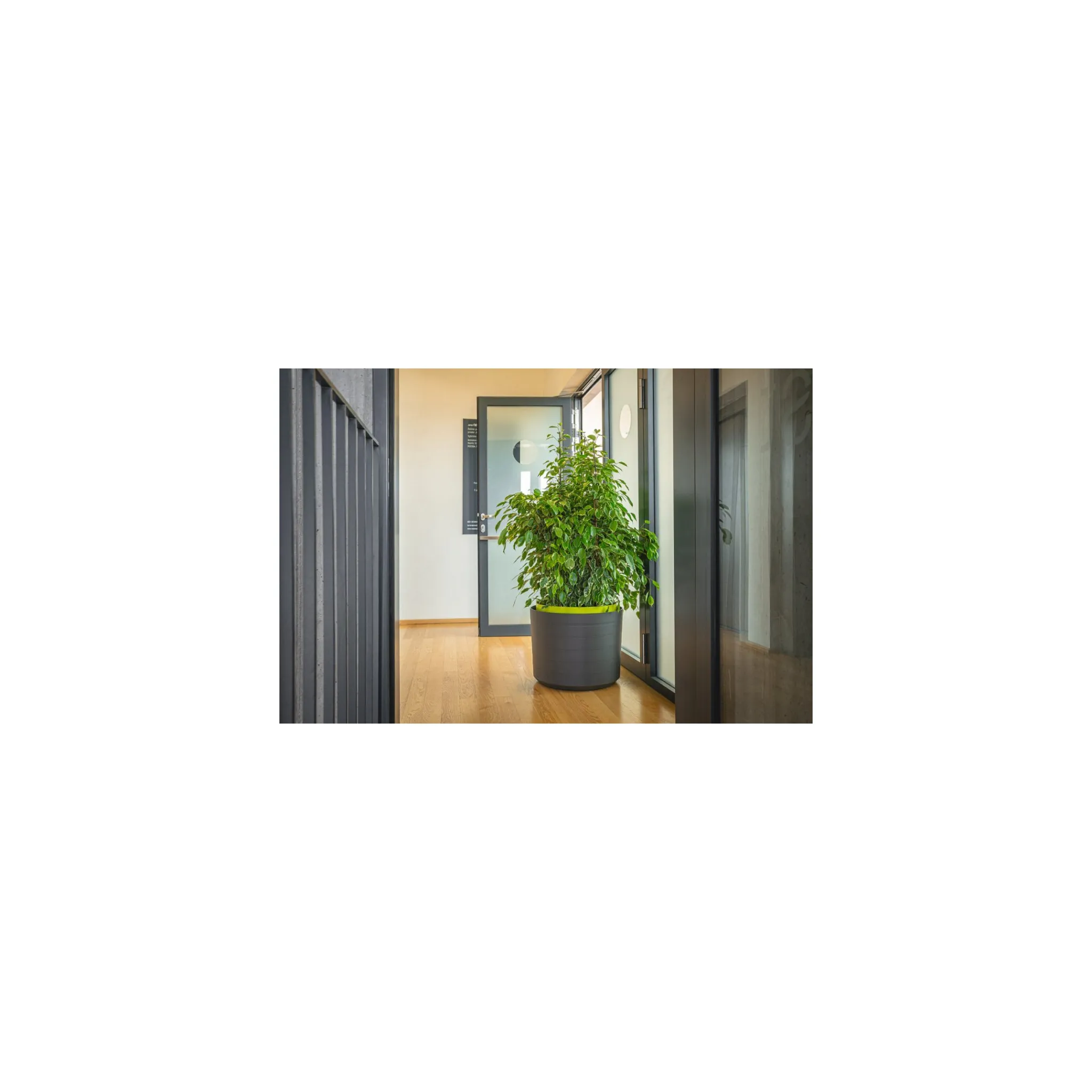 Fotografie 3 - Květináč Plastia Berberis 55 cm antracit/zelený