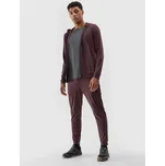 Pánské sportovní rychleschnoucí kalhoty 4F velikost L hnědá