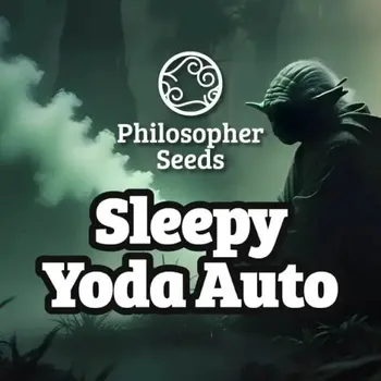Semeno Philosopher Seeds - Sleepy Yoda Auto 5 ks