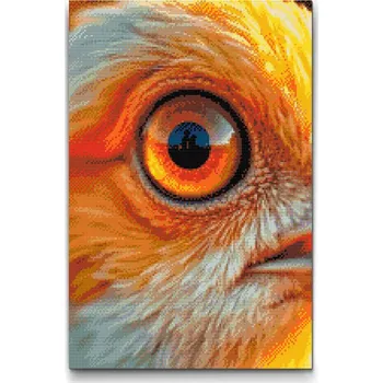 Diamantové malování Diamantové malování - Ptačí oko Velikost: 40x60cm, Rámování: Pouze srolované plátno, Diamanty: Čtvercové