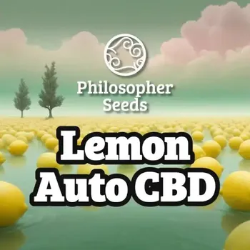 Semeno Philosopher Seeds - Lemon Auto CBD 3 ks