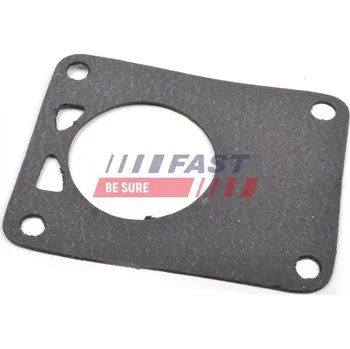 Těsnění motoru FAST FT49901 Těsnění, vakuové čerpadlo (FT49901)