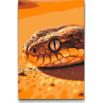 Malování podle čísel - Hadí oko Velikost: 40x60cm, Rámování: Pouze srolované plátno