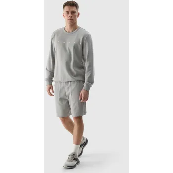 Pánské kraťasy Pánské teplákové šortky 4F velikost XL šedá