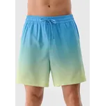 Pánské koupací kraťasy 4F velikost S vícebarevná