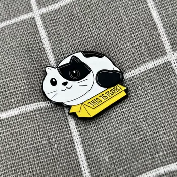 Kočička v krabici - this is perfect / to je perfektní