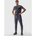 Pánské sportovní rychleschnoucí kalhoty 4F velikost L šedá