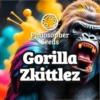 Semeno Philosopher Seeds - Gorilla Zkittlez 5 ks