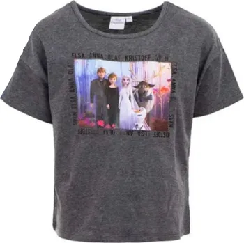 Sun City Dívčí tričko FROZEN celá parta krátký rukáv Šedá, Velikost: 110 110