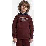 Chlapecká bavlněná mikina velikost 164 burgundy