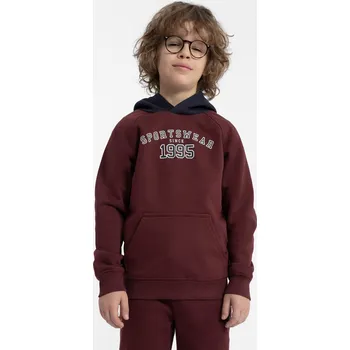 Chlapecká mikina Chlapecká bavlněná mikina velikost 164 burgundy